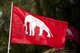 Thailand: The White Elephant Flag was the Thai national flag from 1855 to 1916. It features a white elephant on red plain rectangular flag